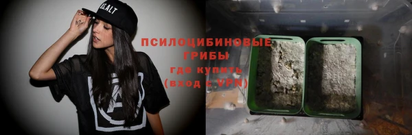 МДПВ Абдулино