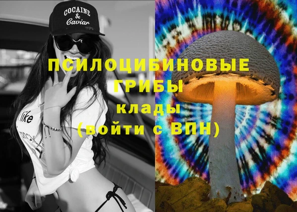 прущие грибы Абинск