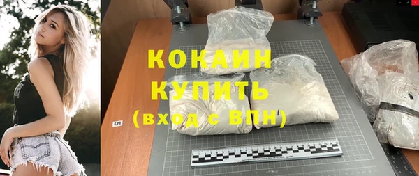 прущие грибы Абинск