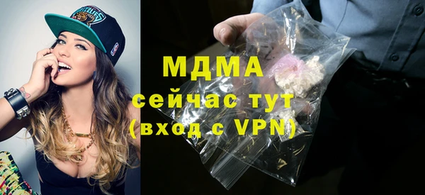 прущие грибы Абинск