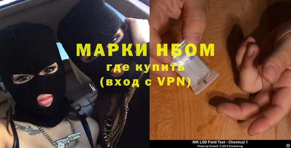 прущие грибы Абинск